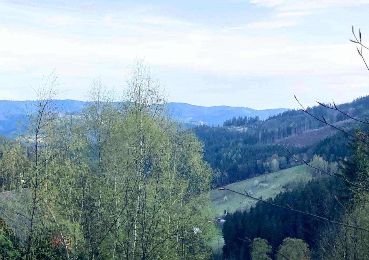 Apartman Na Valassku Horni Becva Exterior foto
